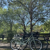 User avatar for Alyssa Roy