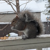 User avatar for Marie Dominique Podrez