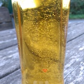 User avatar for Jez Greenwood