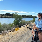 User avatar for Shelby Sifers