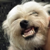 User avatar for Alison Turner