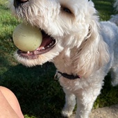 User avatar for Michael Smith