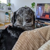 User avatar for Kyle Ribinsky