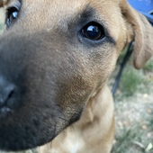 User avatar for Andi Wass