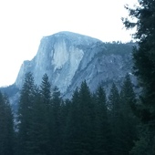 User avatar for Aidan Foley