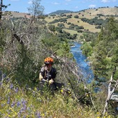 User avatar for Brenda Hawkins