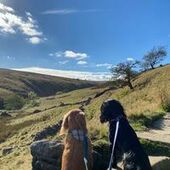 User avatar for Angela Pattison