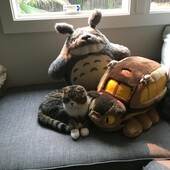 User avatar for Caitlin Shannon