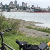 User avatar for Carolle Plamondon