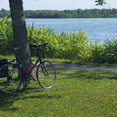 User avatar for Christian Guy