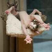 User avatar for Denise Boily