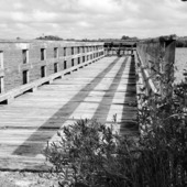 User avatar for Dennis Osiwala