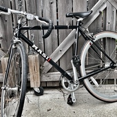 User avatar for Becca Fowler