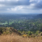 User avatar for David  Rodriguez 