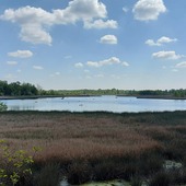 User avatar for Anita Looije