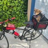 User avatar for Scott Tirapelle