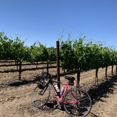 User avatar for Beth Ercolini