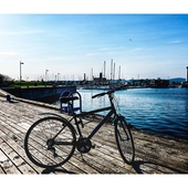 User avatar for Elodie Duhar