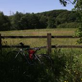 User avatar for Shirley Knight