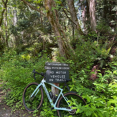 User avatar for David Dees