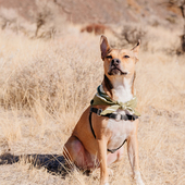 User avatar for Eric Wilkins