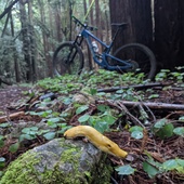 User avatar for Andrew Lankow