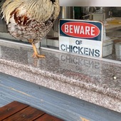 User avatar for William William