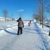 User avatar for Céline Boutin