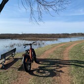 User avatar for Adam Gingery