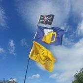 User avatar for Jane Mitchell