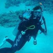 User avatar for Kelly Nicholls