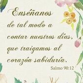 User avatar for Elizabeth Cid