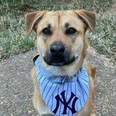 User avatar for Cindy Rickert