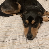 User avatar for Jason Robinson