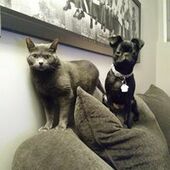 User avatar for Celine Blier