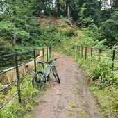 User avatar for Caroline Rogers