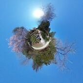 User avatar for Erika Aube