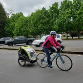 User avatar for Alma Morphis