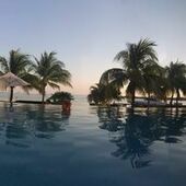 User avatar for Daniel Martinez