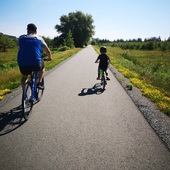 User avatar for Emilie Lavertu