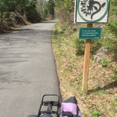 User avatar for Anne Marie Lapointe