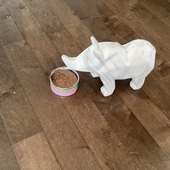 User avatar for Danny Guignard Laurencelle