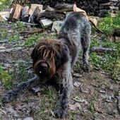 User avatar for Nancy Tousignant