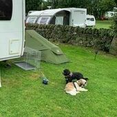 User avatar for Trevor Peacock