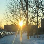 User avatar for Ben Mo