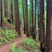 User avatar for Aby N