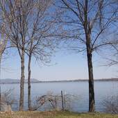 User avatar for François Leclerc