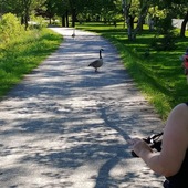 User avatar for Claudine Landry