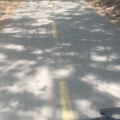 User avatar for Bach Yen Trinh