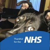 User avatar for Laurin Mc Laren